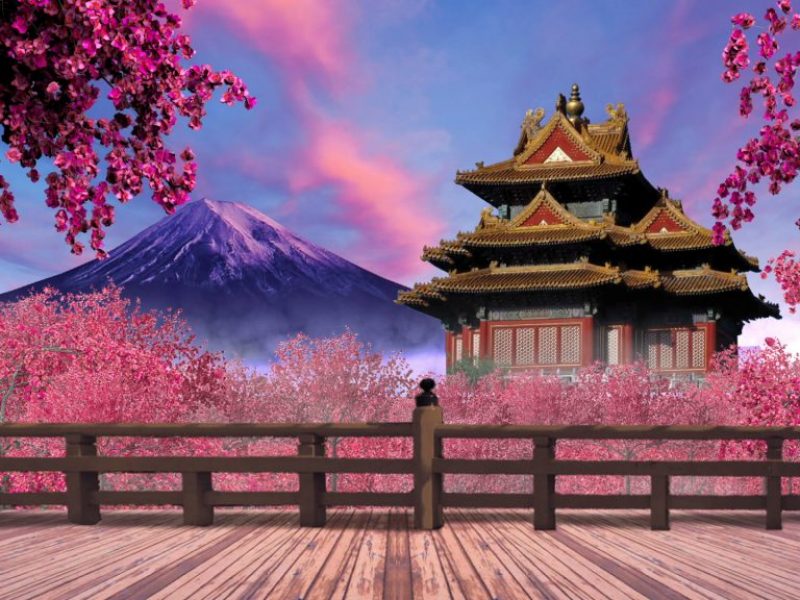background-japan-pink-garden-29fps-vj