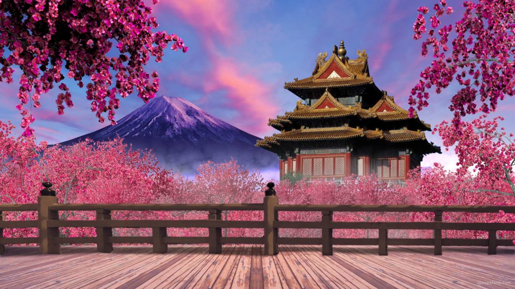 background-japan-pink-garden-29fps-vj